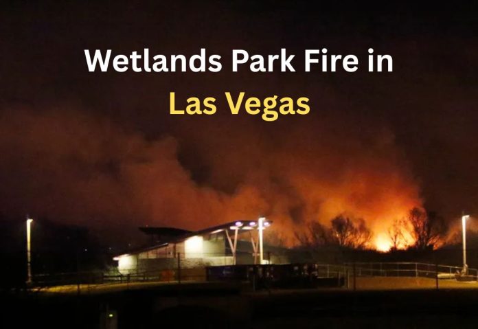 Your paragraph text (51) Wetlands Park Fire